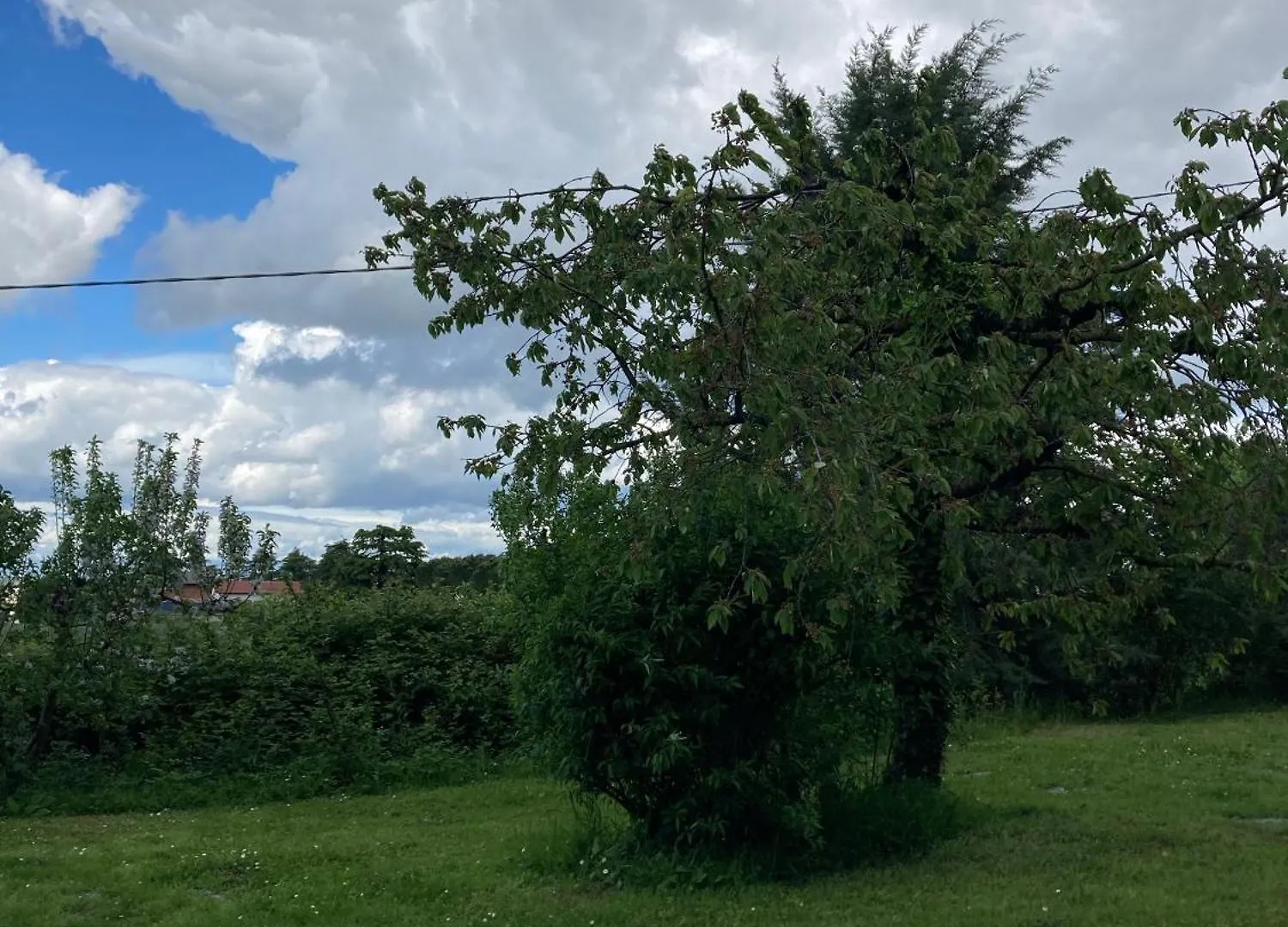 B&B Mama Ro Чезена Отель типа 
