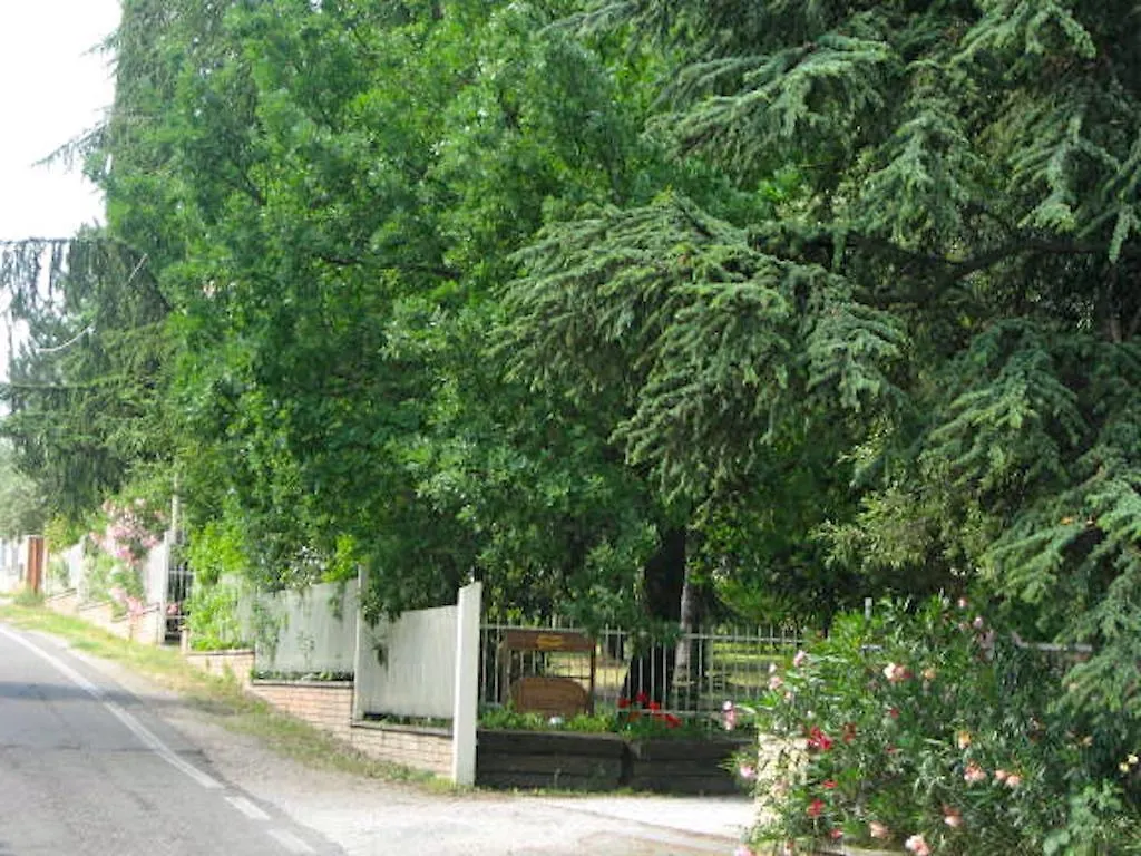 B&B Mama Ro Cesena Bed & Breakfast